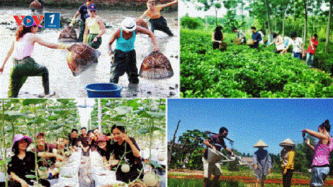 Thúc đẩy phát triển du lịch nông nghiệp, nông thôn sau ảnh hưởng của dich Covid-19 (18/5/2020)