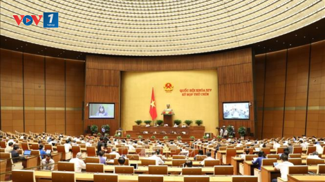 Ý kiến cử tri về phiên thảo luận “Việc thực hiện chính sách, pháp luật về phòng, chống xâm hại trẻ em” (27/5/2020)