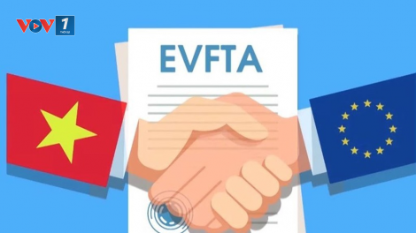 EVFTA: triển vọng thu hút đầu tư (23/06/2020)