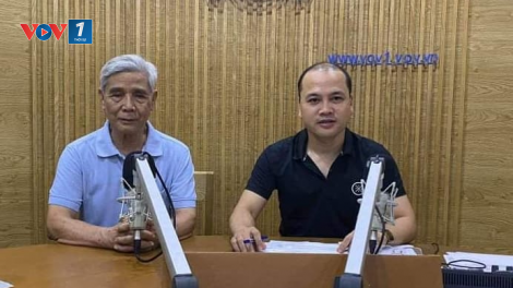Làm gì để ngăn chặn tình trạng phá rừng liên tiếp xảy ra? (4/6/2020)