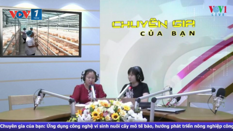 Ứng dụng công nghệ vi sinh nuôi cấy mô tế bào – hướng phát triển nông nghiệp công nghệ 4.0 (2/6/2020)
