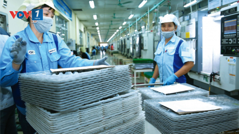 Làm thế nào để giúp người lao động lựa chọn làm việc ở thị trường lao động tốt thay vì xuất khẩu lao động bằng mọi giá? (12/6/2020)