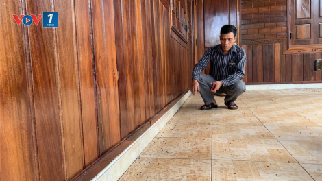 Gia Lai: Người dân biên giới khổ vì bọ đậu đen (17/6/2020)