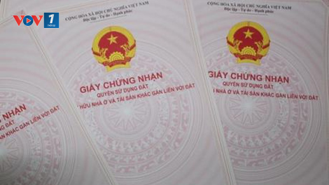 Các hộ dân làm kinh tế mới ở Nghệ An, mòn mỏi chờ Giấy chứng nhận quyền sử dụng đất (8/6/2020)
