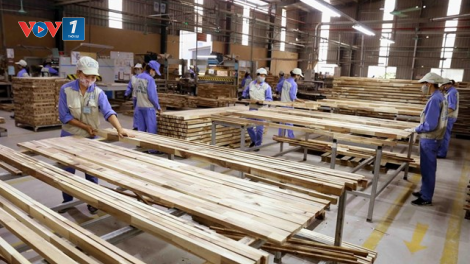 Ngành chế biến gỗ: Định hình hướng đi sau dịch bệnh Covid-19 (19/6/2020)