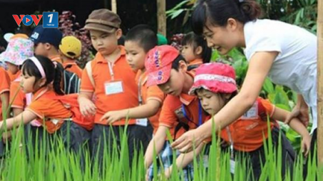 Học sinh đi trải nghiệm thực tế: Làm sao kiểm soát được rủi ro? (19/6/2020)