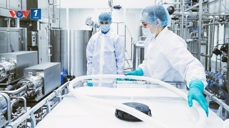 Nga sẽ có một số loại vắc-xin ngừa Covid-19 (13/6/2020)