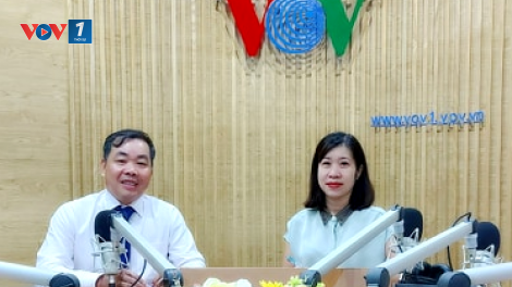 Vì sao doanh nghiệp khó vay tiền từ gói 62.000 tỷ đồng? (15/6/2020)