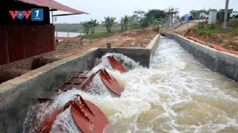 Bắc Ninh, Bắc Giang: vi phạm công trình thủy lợi trước mùa mưa bão diễn ra nghiêm trọng (11/6/2020)