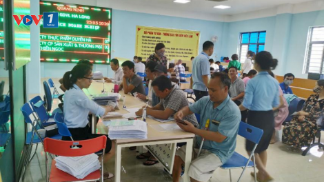 Tháo gỡ khó khăn trong đào tạo nghề, tạo thêm cơ hội cho người lao động (3/6/2020)
