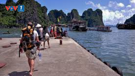 Cần xử lý nghiêm hành vi chụp giật trong dịch vụ du lịch Hạ Long (2/6/2020)