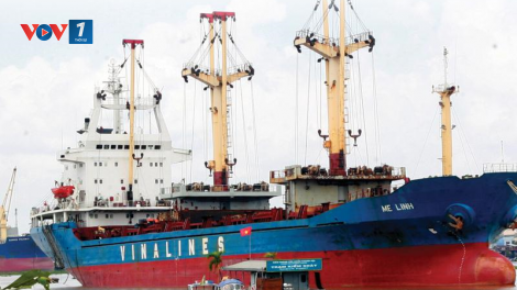 Vinalines sắp đại hội cổ đông lần đầu, dự kiến vào tháng 8 tới (25/6/2020)