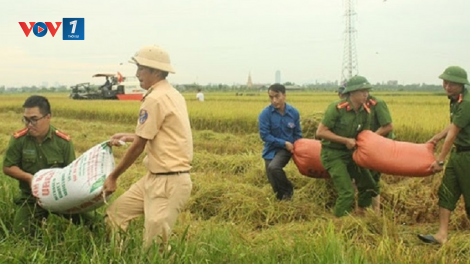 Vụ mùa năm 2020: Bám sát dự báo mưa lũ, chủ động các kịch bản tiêu úng (11/6/2020)