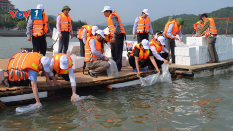 Bảo vệ đa dạng sinh học nhìn từ mô hình bảo tồn nguồn lợi thủy sản (17/6/2020)