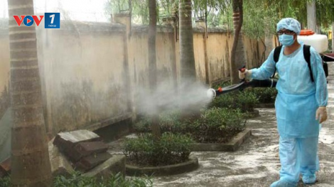 Phòng ngừa sốt xuất huyết và Zika trong mùa mưa (13/6/2020)