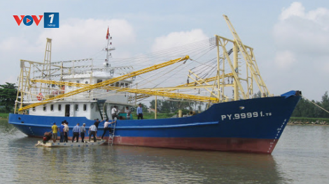 Phú Yên – nợ xấu từ tàu vỏ thép (15/6/2020)
