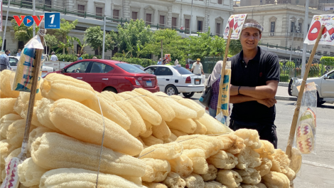 Ai Cập: cuộc sống mưu sinh trong mùa dịch COVID-19 (1/7/2020)