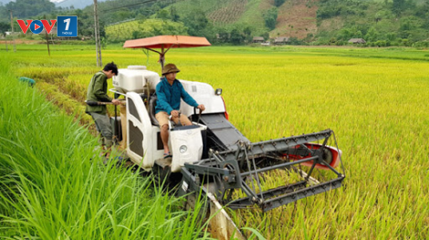 Ứng dụng khoa học kỹ thuật: Những mô hình giảm nghèo (2/7/2020)