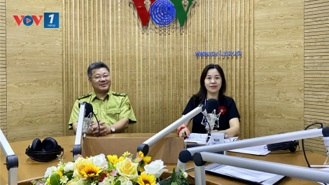 Phòng cháy, chữa cháy rừng làm sao để hiệu quả? (16/7/2020)