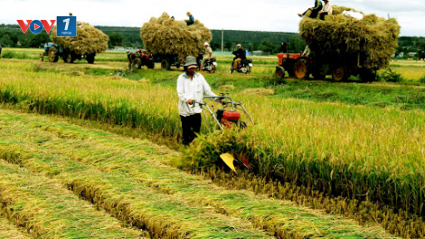 Vai trò của khuyến nông trong nâng cao hiệu quả sản xuất nông nghiệp (29/7/2020)