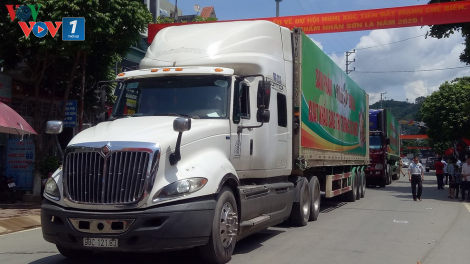Gần 30 tấn nhãn huyện Sông Mã (Sơn La) xuất khẩu chính ngạch sang Trung Quốc (25/7/2020)