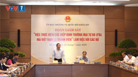 UBTVQH giám sát việc thực hiện các hiệp định thương mại (FTA) (23/7/2020)