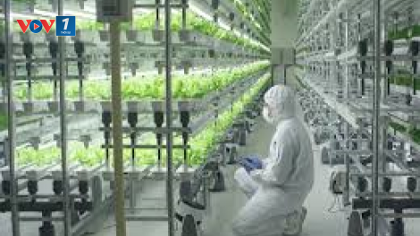 Liệu có đạt được mục tiêu 5.000 doanh nghiệp khoa học công nghệ vào cuối năm 2020? (4/7/2020)