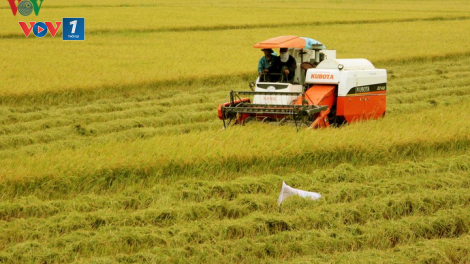 Tăng cường cơ giới hóa trong sản xuất nông nghiệp (22/07/2020)