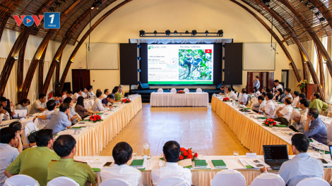 Bảo tồn đa dạng sinh học rừng Kon Plông gắn với phát triển sinh kế bền vững (24/7/2020)