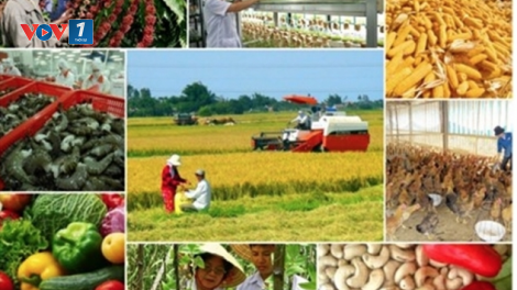 6 tháng năm 2020, ngành nông nghiệp vẫn giữ được mức tăng trưởng dương (1/7/2020)