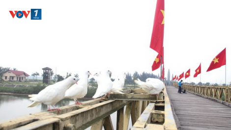 Bài 3 loạt phóng sự “Từ khói lửa chiến tranh cùng vun đắp hòa bình” nhan đề "Nơi gặp gỡ của hoà bình!" (24/7/2020)