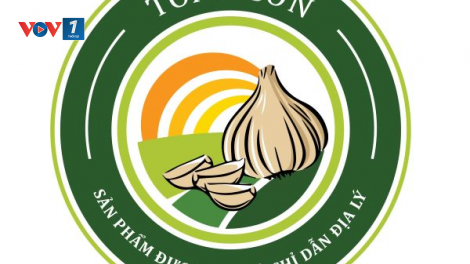 Tỏi Lý Sơn đã có chỉ dẫn địa lý (1/7/2020)