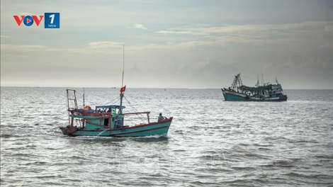 Nâng cao nhận thức của ngư dân về khai thác IUU (17/8/2020)
