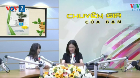 Giải pháp trồng cây tiết kiệm nước, thích ứng với biến đổi khí hậu (31/8/2020)