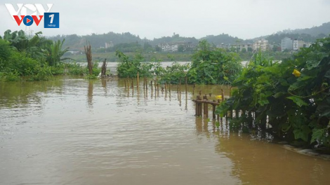 Các tỉnh Tây Bắc khắc phục hậu quả mưa lũ, ứng phó nước sông Hồng sẽ lại dâng cao khi Trung Quốc xả lũ (20/8/2020)