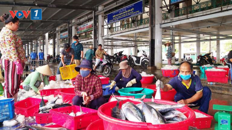 Khánh Hòa: Quản lý ngư dân đến từ vùng dịch, đảm bảo an toàn cảng cá (13/8/2020)