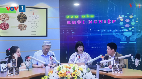 Dự án "Hành tỏi đen": Khởi nghiệp từ đề tài khoa học, đâu là khó khăn? (16/8/2020)