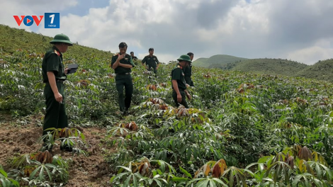 Loạt bài: ""Vững vàng một dải biên cương Tây Bắc" - Bài 1 nhan đề: "Anh Bộ đội về bản cùng dân chuyển đổi nếp nghĩ cách làm" (22/8/2020)
