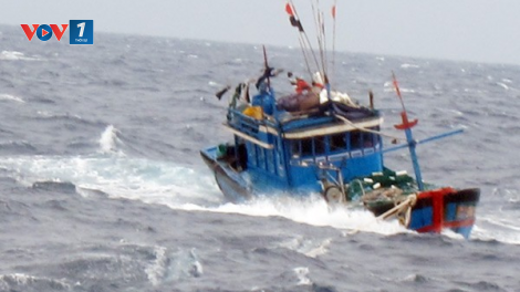 Không để tàu thuyền hoạt động trong vùng nguy hiểm trước khi bão số 2 đổ bộ đất liền (2/8/2020)