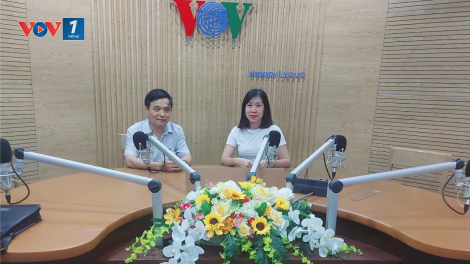 Học nghề thương mại điện tử - hợp xu thế, cơ hội việc làm, tương lai rộng mở (15/8/2020)