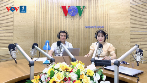 Cảng cá, khu neo đậu tàu thuyền và công tác quản lý nhằm gỡ thẻ vàng IUU cho thủy sản Việt Nam (23/8/2020)