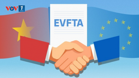 Hiệp định Thương mại tự do Việt Nam - EU (EVFTA) chính thức có hiệu lực (1/8/2020)