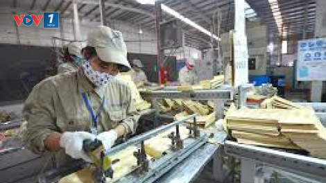Chuyên gia, doanh nghiệp kỳ vọng tính thiết thực của gói hỗ trợ lần 2 (27/8/2020)