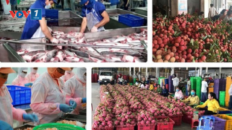 EVFTA: Cơ hội và thách thức cho nông sản Việt (3/8/2020)