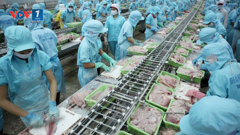 Ngành thủy sản dưới tác động của dịch Covid-19 - Giải pháp đổi mới chuỗi cung ứng thủy sản Việt Nam (8/8/2020)