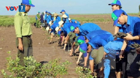 Phát triển bền vững ứng phó biến đổi khí hậu (12/8/2020)