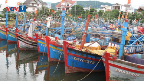 Nâng cao hiệu quả khai thác thủy sản nhờ ứng dụng khoa học kỹ thuật (24+25/08/2020)