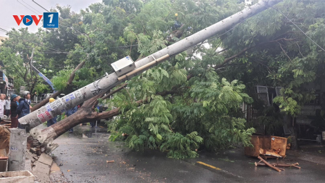 Vì sao nhiều cột điện gãy, đổ trong bão số 5? (20/9/2020) <br> HIỀN ĐĂNG RÙI