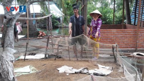 Cà Mau: Cẩn trọng với ổ dịch H5N1 mới xuất hiện (14/9/2020)