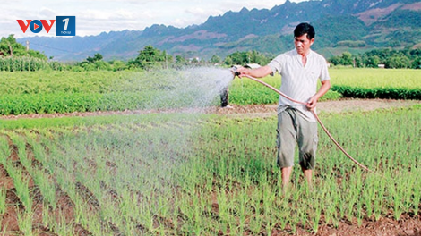 Các tỉnh phía Bắc triển khai sản xuất vụ đông (1/9/2020)